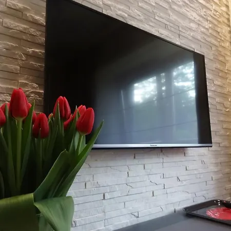 Plac Bankowy Apartamento